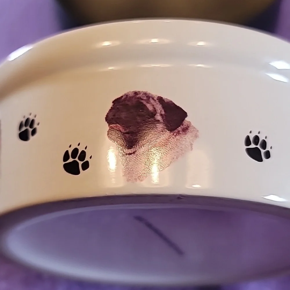 0774. BowWowMeow's Ceramic Decorative Bowl for Small Pet Dogs ~ So classy & Cute